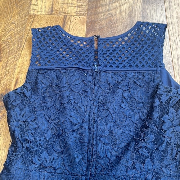 Blush Girl’s Lace Mesh Dress Size 14 - Picture 5 of 8